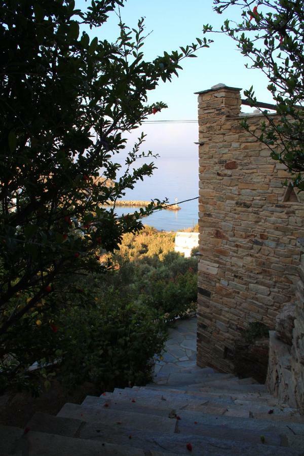 Cozy Guesthouse - Agios Romanos Exteriör bild
